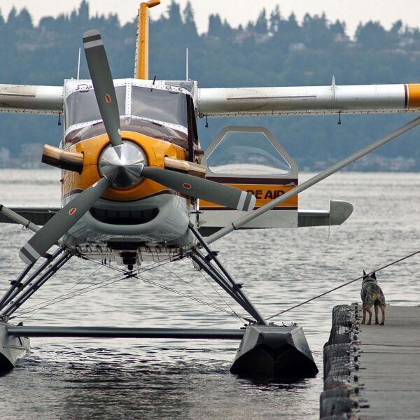 deHavilland turbine Beaver