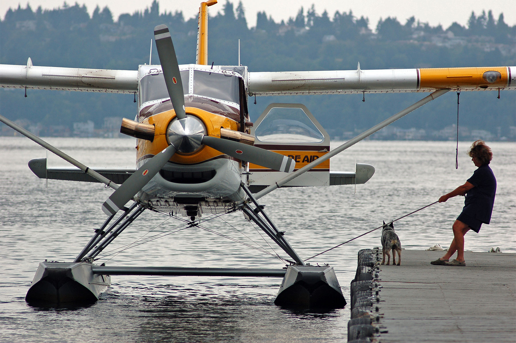 deHavilland turbine Beaver 