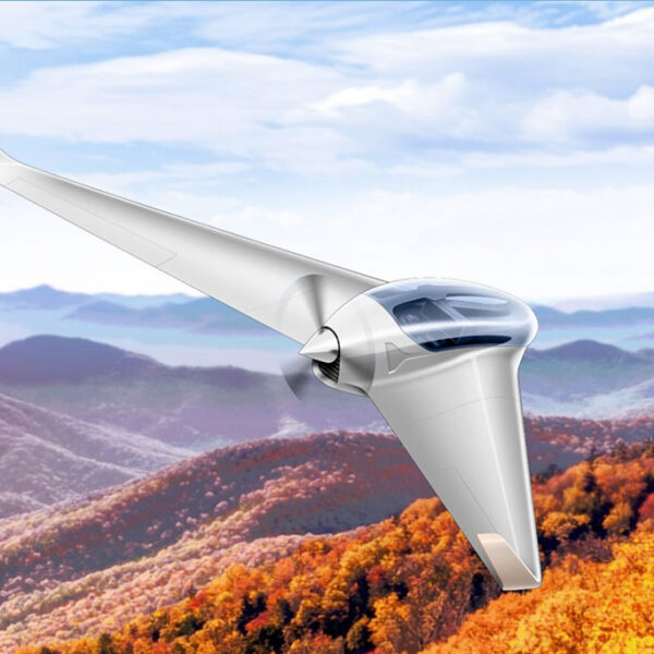 German Manufacturer Horten