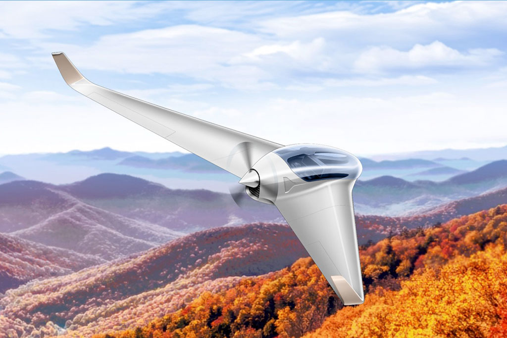 German Manufacturer Horten